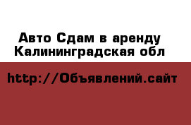 Авто Сдам в аренду. Калининградская обл.